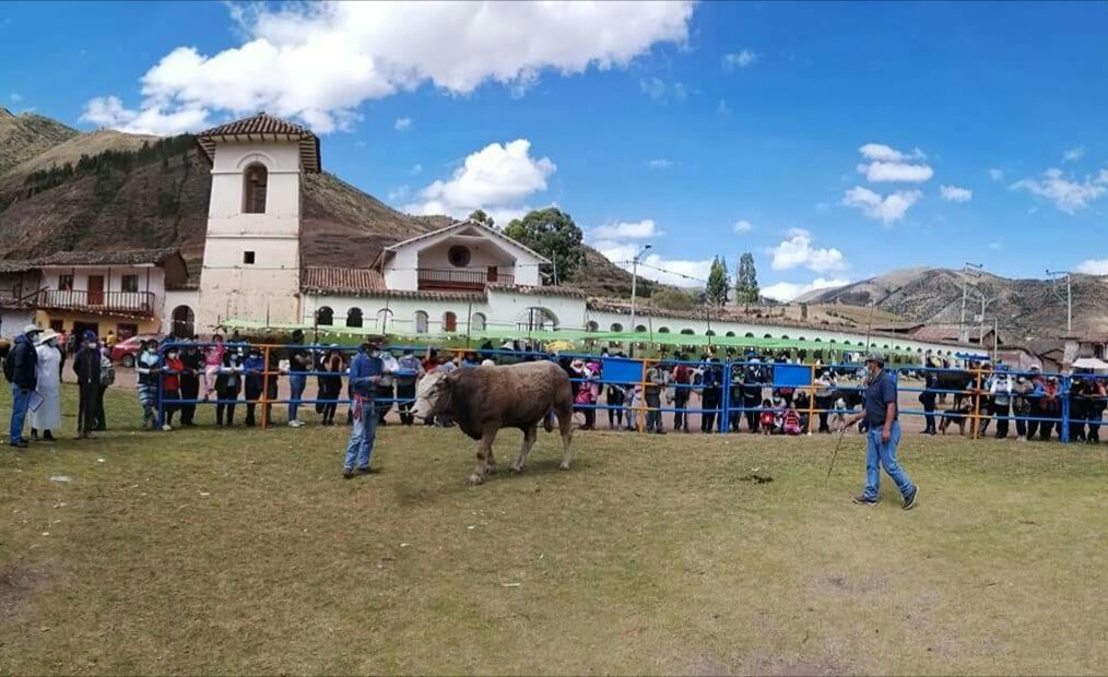 Distrito de Rondocan: Guía Municipal, Servicios y Trámites