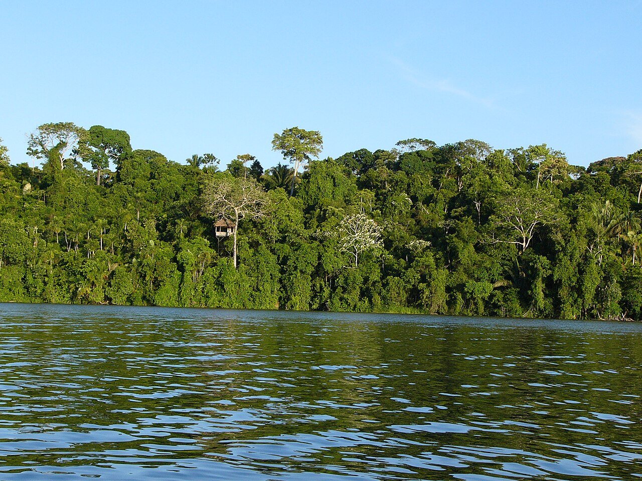 Gobierno Regional de Madre de Dios: Directorio Cívico, Provincias y Servicios